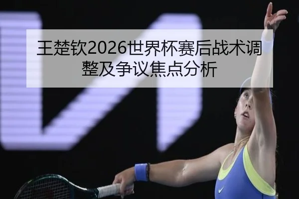 王楚钦2026世界杯赛后战术调整及争议焦点分析